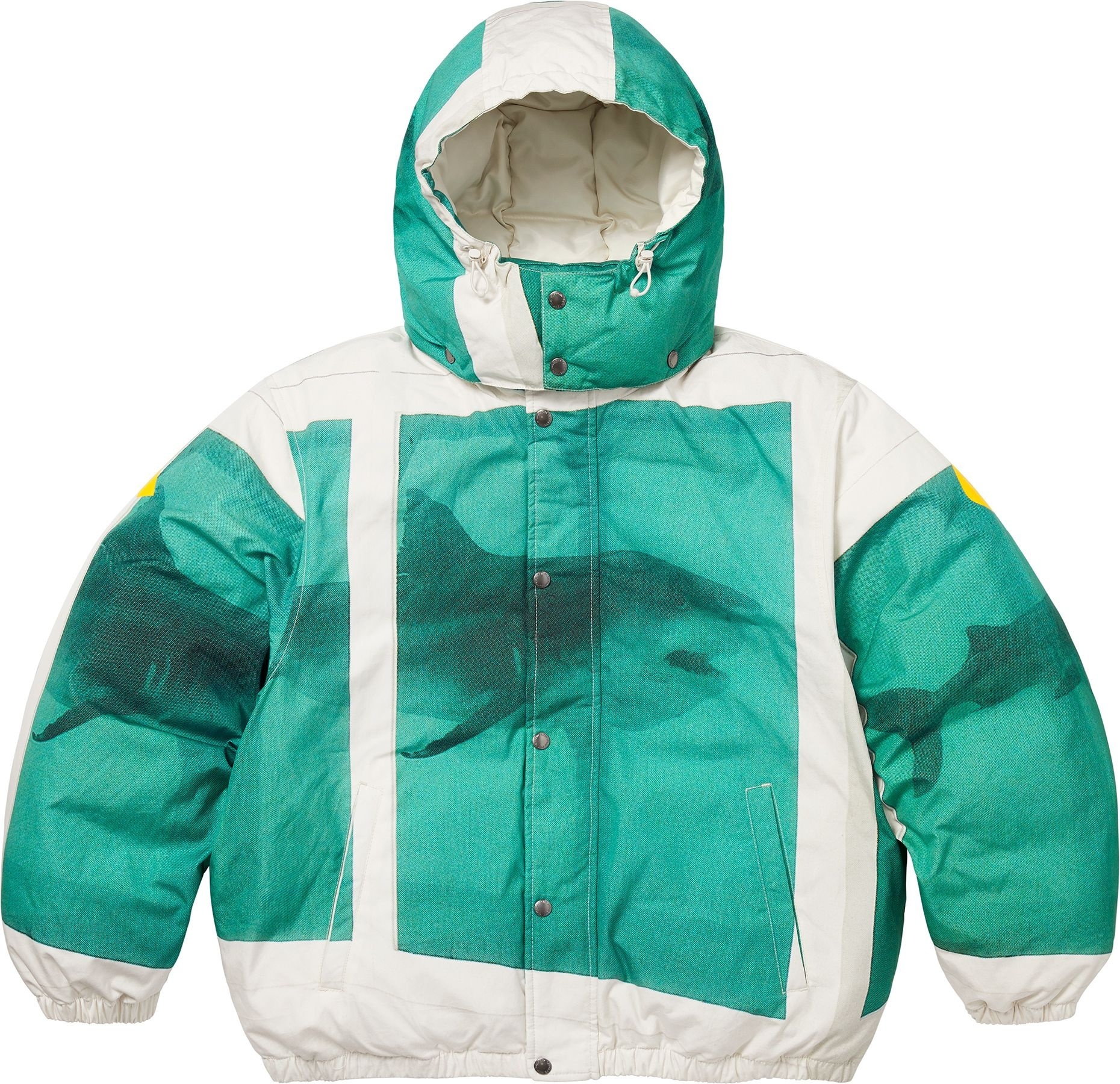 Supreme/Damien Hirst Down Puffer Jacket view 16
